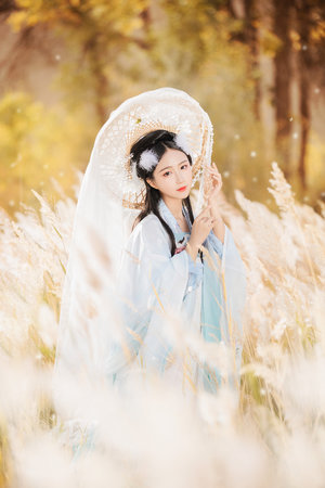 晚秋免费高清在线观看