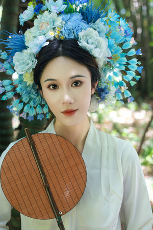 兰灵假意的风