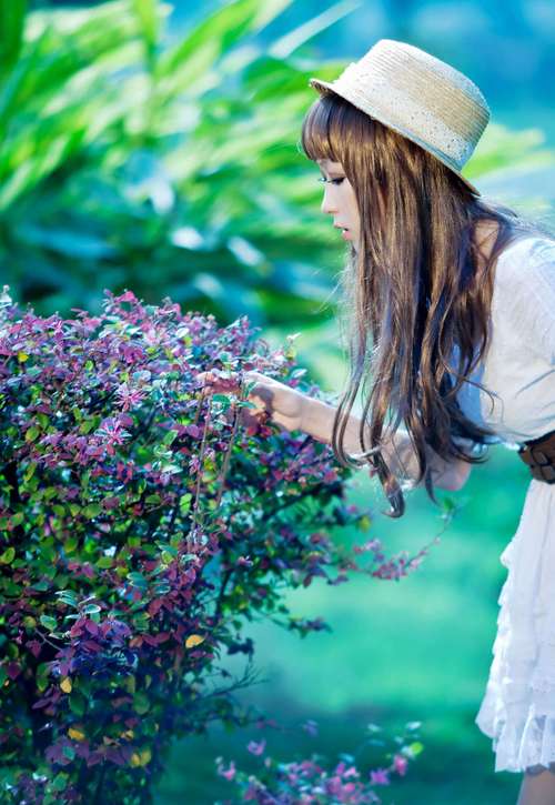 鹊桥兄弟们韩剧全集在线观看普通话