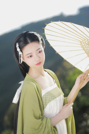 骡子和金子