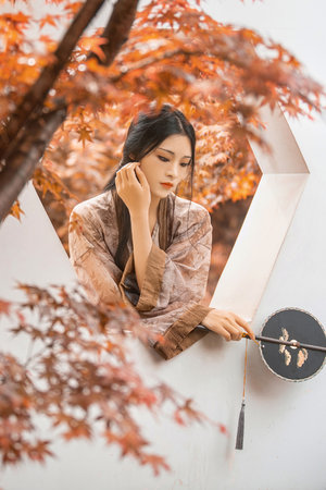 倾城之恋全集