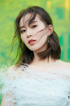 赢在龙头普及版