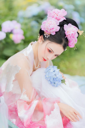 宫锁珠帘剧情介绍