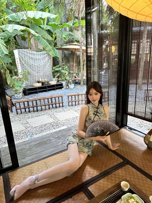 2024最新谍战剧