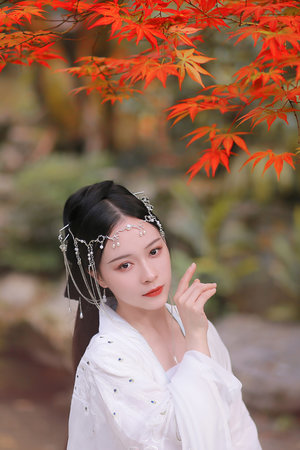 慈禧秘传免费看