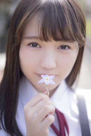 查企业信息查询平台