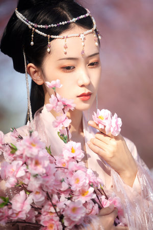 一骑当千ova