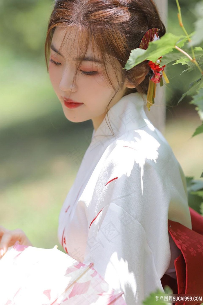 男女高清版免费观看电视剧大全