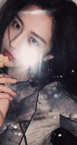 彼得格里尔的贤者时间第二季樱花