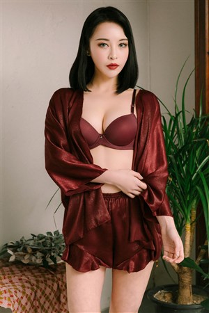 王朝的女人·杨贵妃2015版