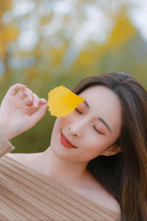 狼群资源在线高清免费观看