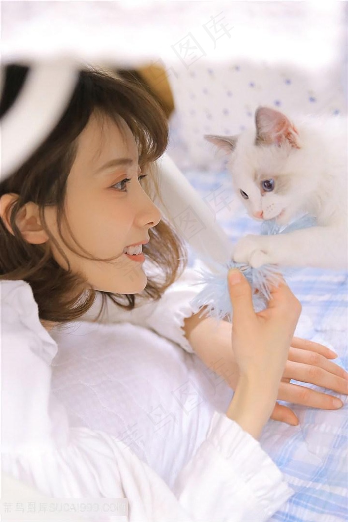 雌狐