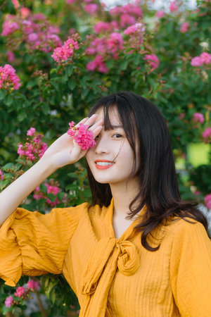 欧美人动物人物