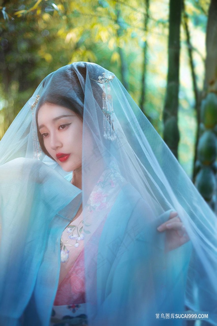 丁香花免费完整高清观看